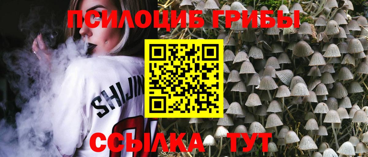 Галлюциногенные грибы прущие грибы  Галлюциногенные грибы MAGIC MUSHROOMS  Вход с VPN  Сосновый Бор 