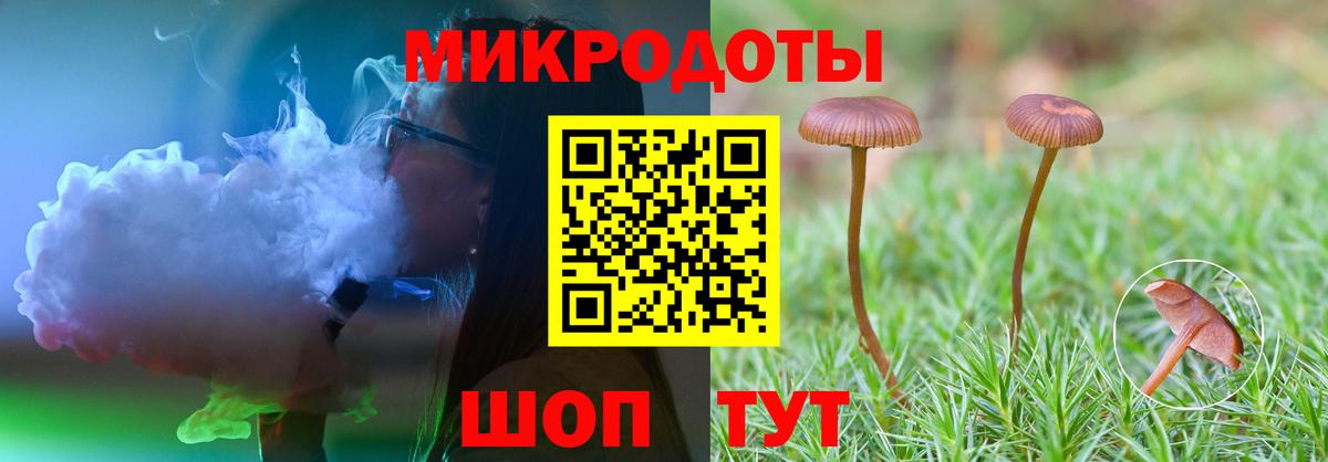 Псилоцибиновые грибы MAGIC MUSHROOMS Сосновый Бор